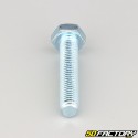 10x50 mm screw hex head class 8.8 (per unit)