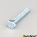 10x55 mm screw hex head class 8.8 (per unit)