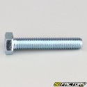 10x55 mm screw hex head class 8.8 (per unit)