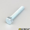 10x60 mm screw hex head class 8.8 (per unit)