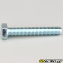 10x60 mm screw hex head class 8.8 (per unit)