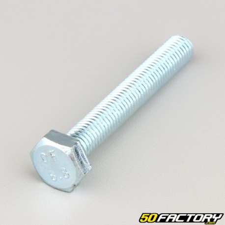 10x70 mm screw hex head class 8.8 (per unit)