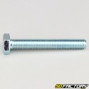 10x70 mm screw hex head class 8.8 (per unit)