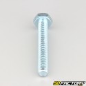 10x70 mm screw hex head class 8.8 (per unit)