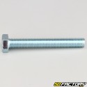 10x75 mm screw hex head class 8.8 (per unit)