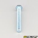 10x80 mm screw hex head class 8.8 (per unit)