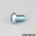 12x20 mm screws rounded head BTR class 10.9 (per unit)