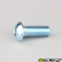 12x30 mm screws rounded head BTR class 10.9 (per unit)