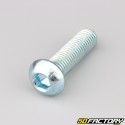 12x45 mm screws rounded head BTR class 10.9 (per unit)