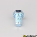 12x20 mm screw hex head class 8.8 (per unit)