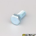 12x25 mm screw hex head class 8.8 (per unit)