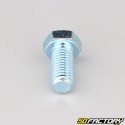 12x25 mm screw hex head class 8.8 (per unit)