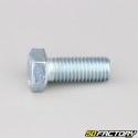 12x30 mm screw hex head class 8.8 (per unit)