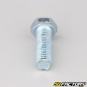 12x35 mm screw hex head class 8.8 (per unit)