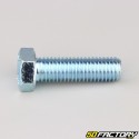 12x40 mm screw hex head class 8.8 (per unit)