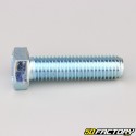 12x45 mm screw hex head class 8.8 (per unit)