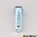 12x45 mm screw hex head class 8.8 (per unit)