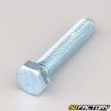 12x60 mm screw hex head class 8.8 (per unit)