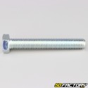 12x80 mm screw hex head class 8.8 (per unit)