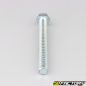 12x100 mm screw hex head class 8.8 (per unit)