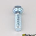 12x45 mm screw hex head partial thread class 8.8 (per unit)