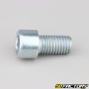 Tornillo de 14x25 mm cabeza BTR clase 8.8 (simple)