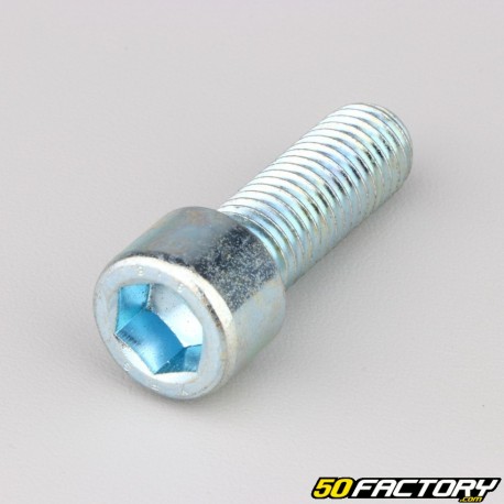 Tornillo de 14x40 mm cabeza BTR clase 8.8 (simple)