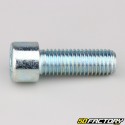 Tornillo de 14x40 mm cabeza BTR clase 8.8 (simple)