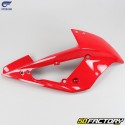 Hyosung front right fairing GTR 125 red