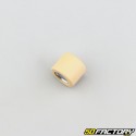 Rullo variatore 6g 19x15 mm Aprilia  SXR 50