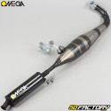 Auspuff Peugeot  XNUMX SP, MVL ... Omega GXNUMX Carbon-Schalldämpfer