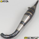 Exhaust Peugeot  XNUMX SP, MVL ... Omega GXNUMX silencer gray