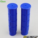 Ebon Fixed blue grips