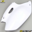 Fairing kit Yamaha YZF 250 (2001 - 2002) CeMoto blue and white