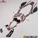 Deko-Kit Beta RR XNUMX (XNUMX - XNUMX) KRM Pro Ride rot