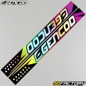 Decoration  kit Beta RR 50 (2011 - 2020) Gencod Sun holographic