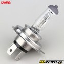 Lâmpada para Farol Principal HXNUMX XNUMXV XNUMX / XNUMXW Lampa