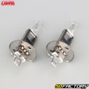 H1V 12W headlight bulbs Lampa (batch of 2)