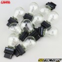 XNUMXW XNUMXV XNUMXW WXNUMXxXNUMXD light bulbs Lampa  (batch of XNUMX)