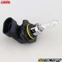 Bombilla del faro P20D HB3 12V 65W Lampa