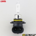 Bombilla del faro P20D HB3 12V 65W Lampa