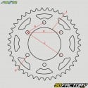 Corona 42 denti in acciaio 525 BMW F 650 GS, F 800 R... Sunstar