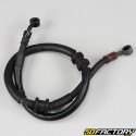 Honda brake hose PCX  XNUMX (XNUMX - XNUMX)