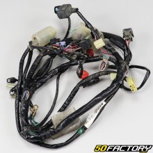 Honda electrical harness PCX 125 (2010 - 2013)