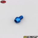 5x8 mm vite blu Evotech testa conica BTR (singola)