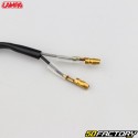 Bulb indicators Lampa Arrow carbone