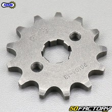 Sprocket 13 teeth 420 TNT Motor City, Skyteam Dax  50 ... Afam