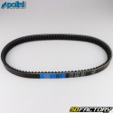 Belt Kymco B&amp;W, Large Dink, KXR 250, 300... 24x915mm Polini kevlar