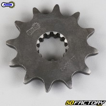 Sprocket 12 teeth 520 Beta ALP 200, Kawasaki KLX 400 ... Afam