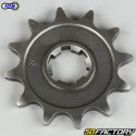 Sprocket 12 teeth 520 Kawasaki KX 125 (1994 - 2008) Afam